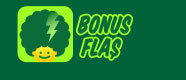 BonusFlas